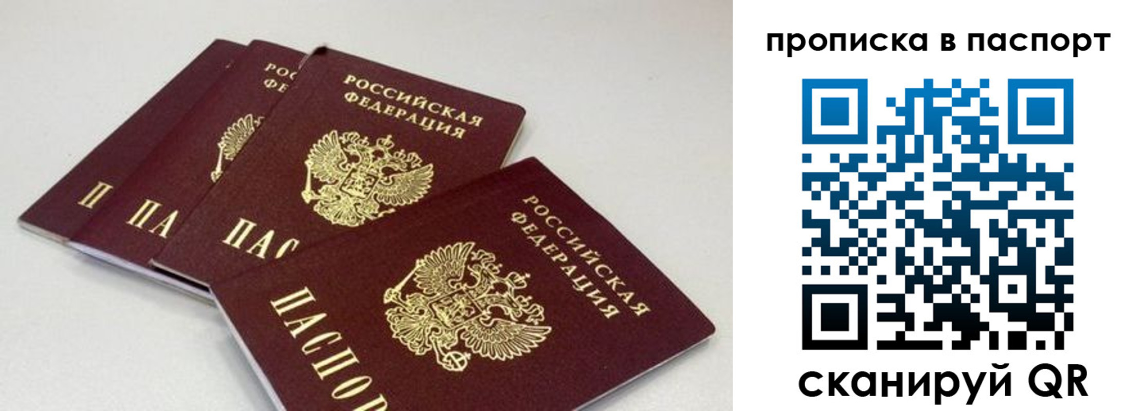 найти адрес прописки в Черноголовке